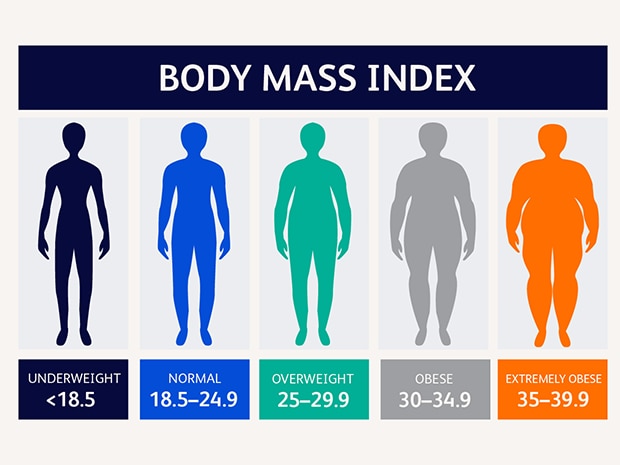 Illustration of body mass index weight categories illustration